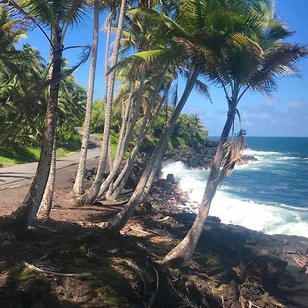 Tropical Zen Bungalow Pahoa Dış mekan fotoğraf
