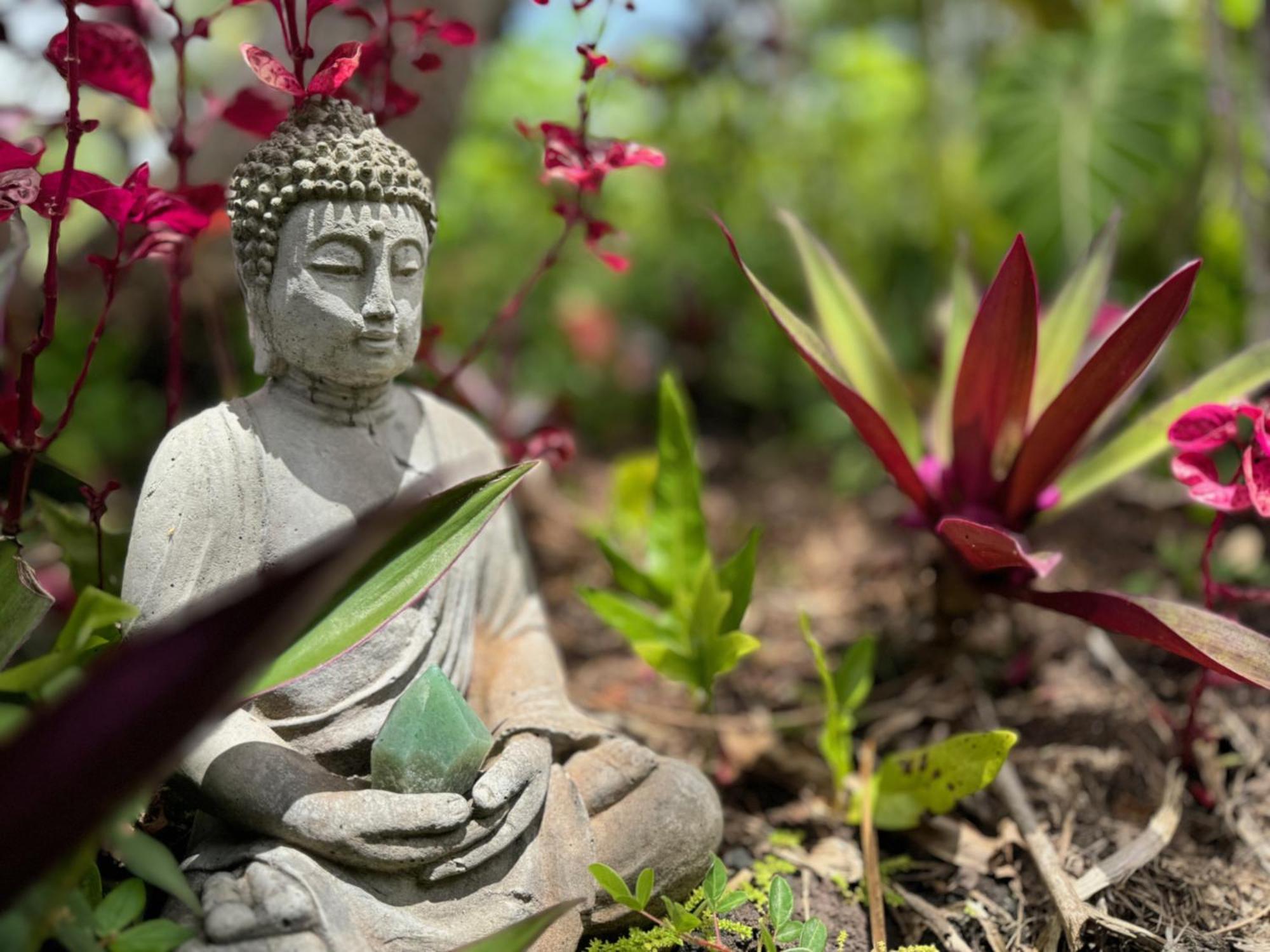 Tropical Zen Bungalow Pahoa Dış mekan fotoğraf